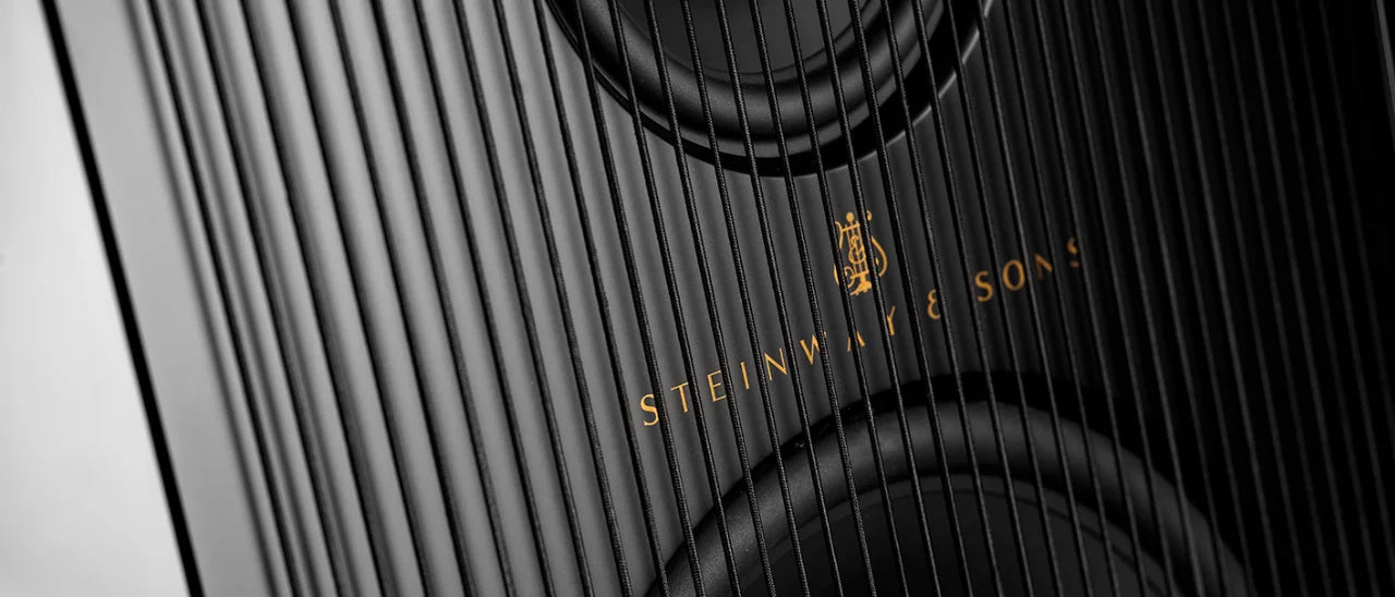 Steinway Lyngdorf Model A Speaker closeup