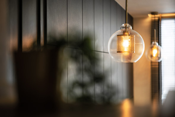 Control4 Zigbee Lighting