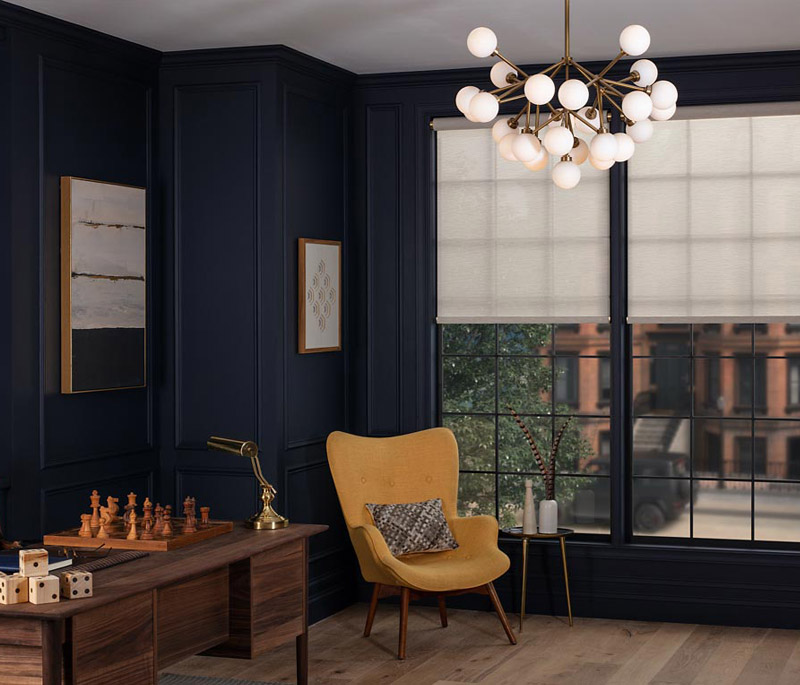 Lutron Palladiom Wire Free Shades